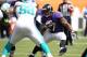MIAMI GARDENS, FL - OCTOBER 06: Running back Ray Rice #27 of the Baltimore Ravens runs against the Miami Dolphins at Sun Life Stadium on October 6, 2013 in Miami Gardens, Florida. (Photo by Marc Serota/Getty Images)