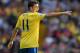 WEST BROMWICH, ENGLAND - OCTOBER 06: Mesut Oezil of Arsenal points during the Barclays Premier League match between West Bromwich Albion and Arsenal at The Hawthorns on October 6, 2013 in West Bromwich, England. (Photo by Michael Regan/Getty Images)