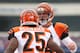 ORCHARD PARK, NY - OCTOBER 13: Andy Dalton #14 of the Cincinnati Bengals congratulates Giovani Bernard #25 on his touchdown during NFL game action against the Buffalo Bills at Ralph Wilson Stadium on October 13, 2013 in Orchard Park, New York. (Photo by T
