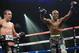 LAS VEGAS, NV - OCTOBER 12: WBO welterweight champion Timothy Bradley Jr. (R) celebrates after going twelve rounds with Juan Manuel Marquez during their bout at the Thomas & Mack Center on October 12, 2013 in Las Vegas, Nevada. Timothy Bradley Jr. wins i