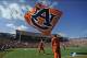 Oct 12, 2013; Auburn, AL, USA; An Auburn Tigers cheerleader waves a flag after a touchdown during the second half against the Western Carolina Catamounts at Jordan Hare Stadium. The Tigers defeated the Catamounts 62-3. Mandatory Credit: Shanna Lockwood-US
