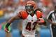 CHICAGO, IL - SEPTEMBER 08: BenJarvus Green-Ellis #42 of the Cincinnati Bengals runs against the Chicago Bears at Soldier Field on September 8, 2013 in Chicago, Illinois. The Bears defeated the Bengals 24-21. (Photo by Jonathan Daniel/Getty Images)