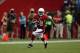 GLENDALE, AZ - SEPTEMBER 15: Running back Andre Ellington #38 of the Arizona Cardinals carries the ball against the Detroit Lions at University of Phoenix Stadium on September 15, 2013 in Glendale, Arizona. (Photo by Jeff Gross/Getty Images)