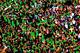 Notre Dame Students are asking all fans to wear green on Saturday