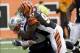 Oct 6, 2013; Cincinnati, OH, USA; Cincinnati Bengals defensive lineman Geno Atkins (97) sacks New England Patriots quarterback Tom Brady (12) in teh first half at Paul Brown Stadium. Cincinnati defeated New England 13-6. Mandatory Credit: Mark Zerof-USA T