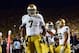 Sep 7, 2013; Ann Arbor, MI, USA; Notre Dame Fighting Irish defensive lineman Stephon Tuitt (7) celebrates with teammates after recovering a fumble in the end zone for a touchdown during the fourth quarter against the Michigan Wolverines at Michigan Stadiu