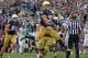 SOUTH BEND, IN - SEPTEMBER 21: Cam McDaniel #33 of the Notre Dame Fighting Irish celebrates his game-winning touchdown against the Michigan State Spartans at Notre Dame Stadium on September 21, 2013 in South Bend, Indiana. Notre Dame defeated Michigan St