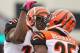 ORCHARD PARK, NY - OCTOBER 13: Giovani Bernard #25 of the Cincinnati Bengals is congratulated after scoring a touchdown by Mohamed Sanu #12 during NFL game action against the Buffalo Bills at Ralph Wilson Stadium on October 13, 2013 in Orchard Park, New Y