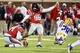 Ole Miss kicker Andrew Ritter.