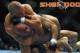 Georges "Rush" St-Pierre, via sherdog.com