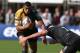 NORTHAMPTON, ENGLAND - OCTOBER 20: Luther Burrell of Northampton is tackled by Ryan Bevington during the Heineken Cup pool 1 match between Northampton Saints and Ospreys at Franklin's Gardens on October 20, 2013 in Northampton, England. (Photo by David