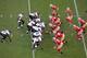 Week 7 may be the most lopsided game in the 49ers' 2013 schedule.