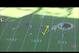 Reed is a major threat in the open field.