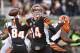 Oct 27, 2013; Cincinnati, OH, USA; Cincinnati Bengals quarterback Andy Dalton (14) passes the ball against the New York Jets at Paul Brown Stadium. Cincinnati defeated New York 49-9. Mandatory Credit: Mark Zerof-USA TODAY Sports