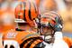 CINCINNATI - SEPTEMBER 19: Holder Kevin Huber #10 of the Cincinatti Bengals congratulates Mike Nugent #2 after his fifth field goal against the Baltimore Ravens at Paul Brown Stadium on September 19, 2010 in Cincinnati, Ohio. (Photo by Matthew Stockman/