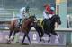 Mucho Macho Man was inches away from winning in 2012.
