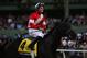 ARCADIA, CA - NOVEMBER 03: Jockey Brian Hernandez Jr. celebrates atop Fort Larned after winning the Breeders' Cup Classic Race during the 2012 Breeders' Cup at Santa Anita Park on November 3, 2012 in Arcadia, California. (Photo by Jeff Gross/Getty Image