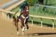 LOUISVILLE, KY - MAY 05: Mucho Macho Man trains during the morning exercise session in preparation for the 137th Kentucky Derby at Churchill Downs on May 5, 2011 in Louisville, Kentucky. (Photo by Matthew Stockman/Getty Images)