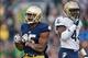 Nov 2, 2013; South Bend, IN, USA; Notre Dame Fighting Irish running back Tarean Folston (25) celebrates in the second quarter against the Navy Midshipmen at Notre Dame Stadium. Notre Dame won 38-34. Mandatory Credit: Matt Cashore-USA TODAY Sports