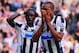 NEWCASTLE UPON TYNE, ENGLAND - SEPTEMBER 21: Moussa Sissoko (L) and Loic Remy (R) of Newcastle United react during the Barclays Premier League match between Newcastle United and Hull City at St James' Park on September 21, 2013 in Newcastle upon Tyne, En
