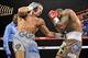 Nov 2, 2013; New York, NY, USA; Gennady Golovkin (silver trunks) and Curtis Stevens (brown trunks) box during their middleweight world championship bout at The Theater at Madison Square Garden. Golovkin won after the fight was stopped after the eighth rou