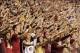 Nov 2, 2013; Tallahassee, FL, USA; Florida State Seminoles fans cheer against the Miami Hurricanes during the first quarter at Doak Campbell Stadium. Mandatory Credit: John David Mercer-USA TODAY Sports