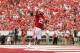 MADISON, WI - SEPTEMBER 07: James White #20 of the Wisconsin Badgers celebrates after running for a touchdown during the game against the Tennessee Tech Golden Eagles at Camp Randall Stadium on September 07, 2013 in Madison, Wisconsin. (Photo by Mike McGi