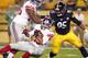 Forcing opponents to be one-dimensional is one of the Steelers' defensive goals this year.