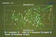 Andrea Pirlo Individual Pass Map