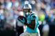 CHARLOTTE, NC - NOVEMBER 03: Brandon LaFell #11 of the Carolina Panthers during their game at Bank of America Stadium on November 3, 2013 in Charlotte, North Carolina. (Photo by Streeter Lecka/Getty Images)