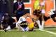 Sep 16, 2013; Cincinnati, OH, USA; Pittsburgh Steelers tight end David Paulson (81) fumbles the ball during the first quarter against the Cincinnati Bengals at Paul Brown Stadium. Mandatory Credit: Andrew Weber-USA TODAY Sports