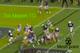 Marshall gave the ball to Mason, but would have scored had he chosen to keep it because the LSU LB froze at the mesh point.