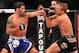 Oct 9, 2013; Barueri, Sao Paulo, Brazil; Raphael Assuncao (blue shorts) fights against TJ Dillashaw (black shorts) during UFC Fight Night 29 at Jose Correa Arena. Mandatory Credit: Jason Silva-USA TODAY Sports