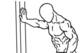The hip adductors bring the leg back toward the body's midline. Credit: Wikimedia Commons.