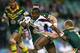 Uate probing the Kangaroos defence
