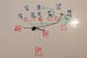 Here is how Alabama's fake punt was drawn up.