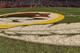 The Improved Madden NFL 25 Graphics via EA Sports
