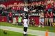 Nov 10, 2013; Phoenix, AZ, USA; Arizona Cardinals wide receiver Andre Roberts (12) reacts after scoring a touchdown in the fourth quarter against the Houston Texans at University of Phoenix Stadium. Mandatory Credit: Jennifer Hilderbrand-USA TODAY Sports