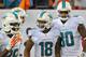 TAMPA, FL - NOVEMBER 11: Wide receiver Rishard Matthews #18 of the Miami Dolphins celebrates after a touchdown against the Tampa Bay Buccaneers November 11, 2013 at Raymond James Stadium in Tampa, Florida. Tampa won 22 - 19. (Photo by Al Messerschmidt/G