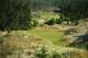 Bandon Trails is a refreshing getaway from the howling winds of seaside links, but the towering cedars and pines pose just as distinct and intense of a challenge.