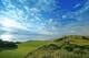 The dramatic views along Oregon's coastline look like postcards.