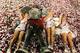 MIAMI GARDENS, FL - JANUARY 07: The mascot and cheerleaders of the Alabama Crimson Tide celebrate after defeating the Notre Dame Fighting Irish by a score of 42-14 to win the 2013 Discover BCS National Championship game at Sun Life Stadium on January 7,