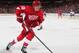 DETROIT, MI - OCTOBER 2: Joakim Andersson #18 of the Detroit Red Wings follows the play against the Buffalo Sabres during a NHL game at Joe Louis Arena on October 2, 2013 in Detroit, Michigan. The Wings won 2-1 (Photo by Dave Reginek//NHLI via Getty Image