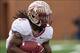 Nov 9, 2013; Winston-Salem, NC, USA; Florida State Seminoles running back Devonta Freeman (8) runs the ball during the first quarter against the Wake Forest Demon Deacons at BB&T Field. Mandatory Credit: Jeremy Brevard-USA TODAY Sports