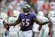 Oct 6, 2013; Miami Gardens, FL, USA; Baltimore Ravens outside linebacker Terrell Suggs (55) reacts after sacking Miami Dolphins quarterback Ryan Tannehill (not pictured) during the second half at Sun Life Stadium. Mandatory Credit: Steve Mitchell-USA TODA