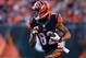 CINCINNATI, OH - OCTOBER 27: Marvin Jones #82 of the Cincinnati Bengals runs with the ball during the NFL game against the New York Jets at Paul Brown Stadium on October 27, 2013 in Cincinnati, Ohio. (Photo by Andy Lyons/Getty Images)