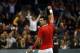 BELGRADE, SERBIA - NOVEMBER 15: Novak Djokovic of Serbia celebrate a point against Radek Stepanek of Czech Republic during the day one of the final Davis Cup match between Serbia and Czech Republic on November 15, 2013 in Belgrade, Serbia. (Photo by Srdj