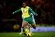 NORWICH, ENGLAND - NOVEMBER 09: Leroy Fer of Norwich City scores their third goal during the Barclays Premier League match between Norwich City and West Ham United at Carrow Road on November 9, 2013 in Norwich, England. (Photo by Jamie McDonald/Getty Im