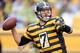 PITTSBURGH, PA - NOVEMBER 17 : Ben Roethlisberger #7 of the Pittsburgh Steelers drops back to pass during the second quarter against the Detroit Lions on November 17, 2013 at Heinz Field in Pittsburgh, Pennsylvania. (Photo by Joe Sargent/Getty Images)
