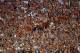AUSTIN, TX - SEPTEMBER 21: Texas Longhorns fans cheer during a game against the Kansas State Wildcats at Darrell K Royal-Texas Memorial Stadium on September 21, 2013 in Austin, Texas. (Photo by Ronald Martinez/Getty Images)